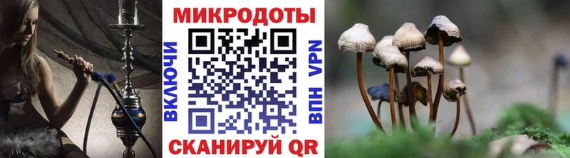 Псилоцибиновые грибы мицелий  Купить  Комсомольск 